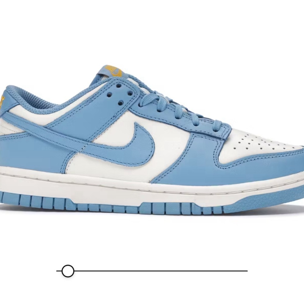 Nike Coast dunk low Men’s 9.5 Women’s 11